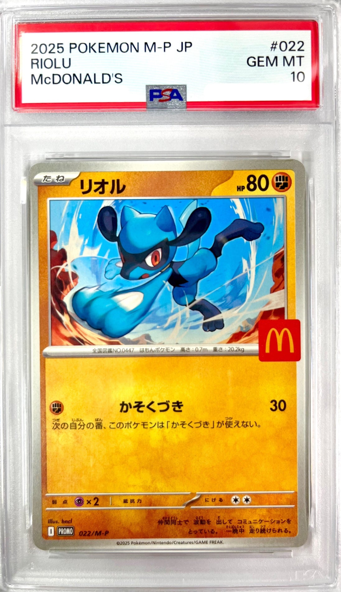 ★022/M-P リオル 鑑定品