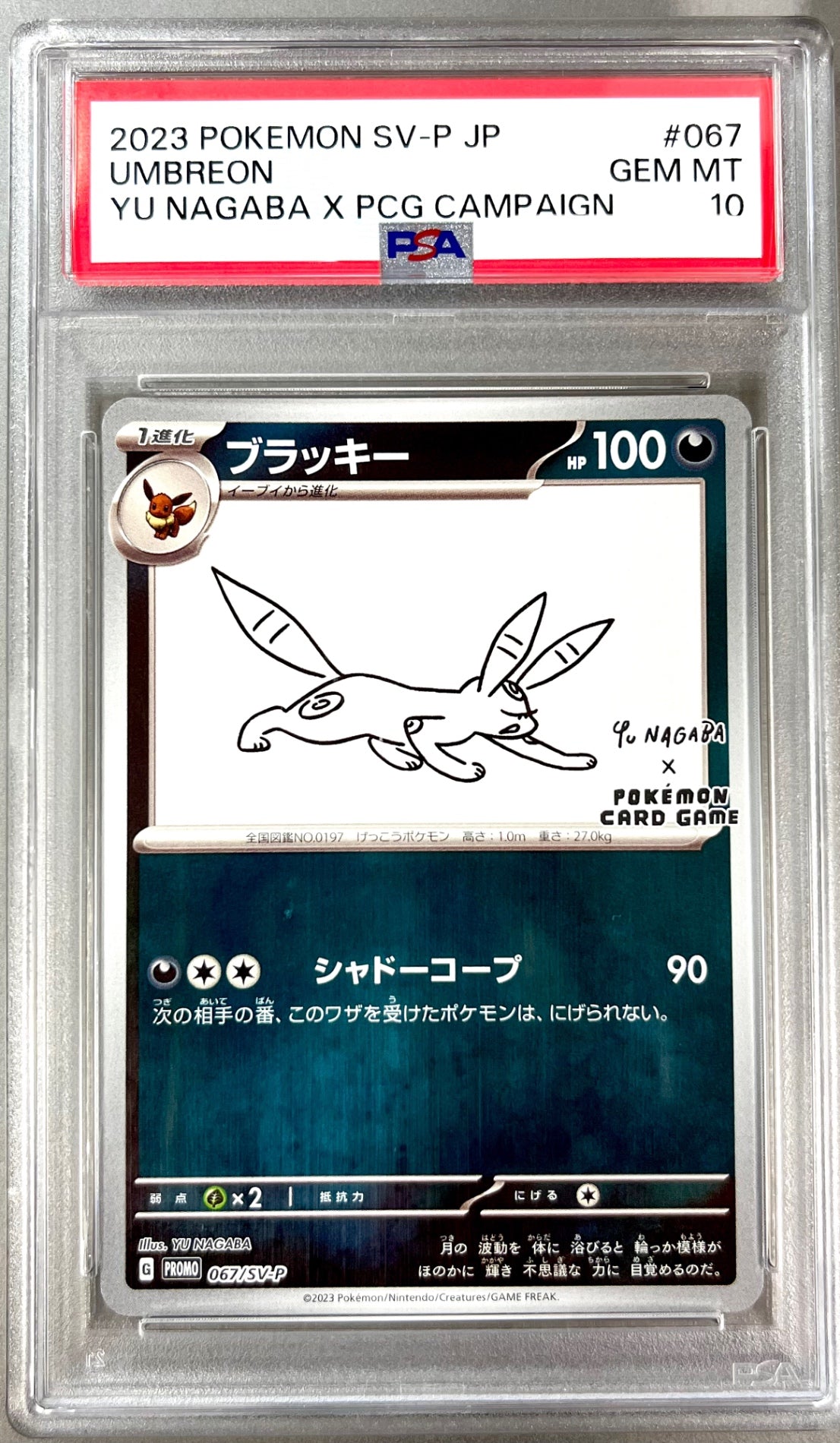★067/SV/P ブラッキー 鑑定品