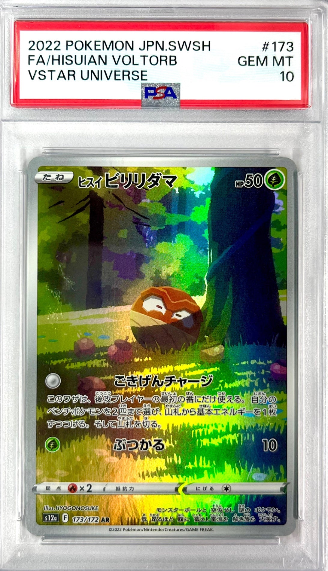 ★173/172/S12A/B ヒスイビリリダマ 鑑定品