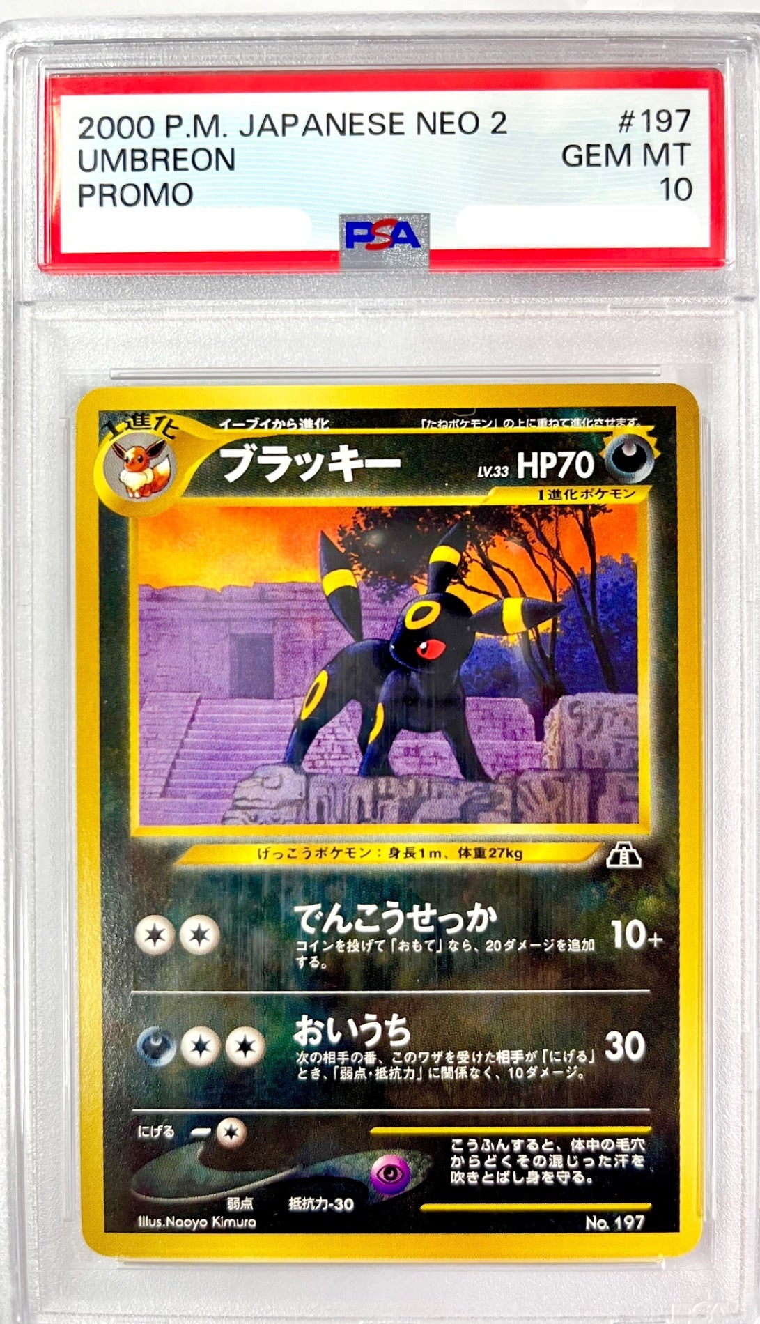 【レア】★LV33HP70NO197-NEOPF ブラッキー(右中央:遺跡) 鑑定品