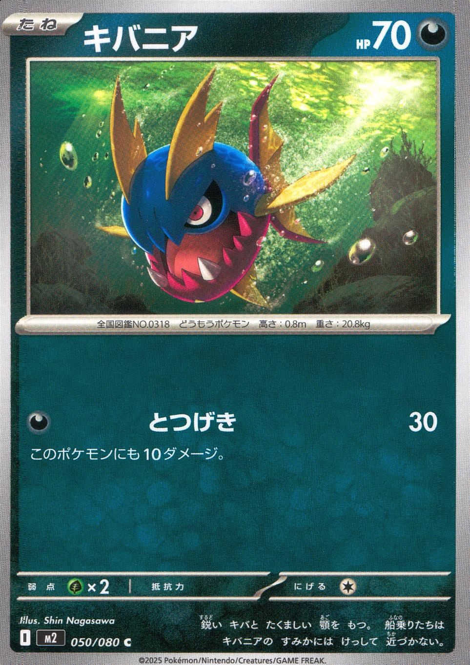 ☆050/080 キバニア