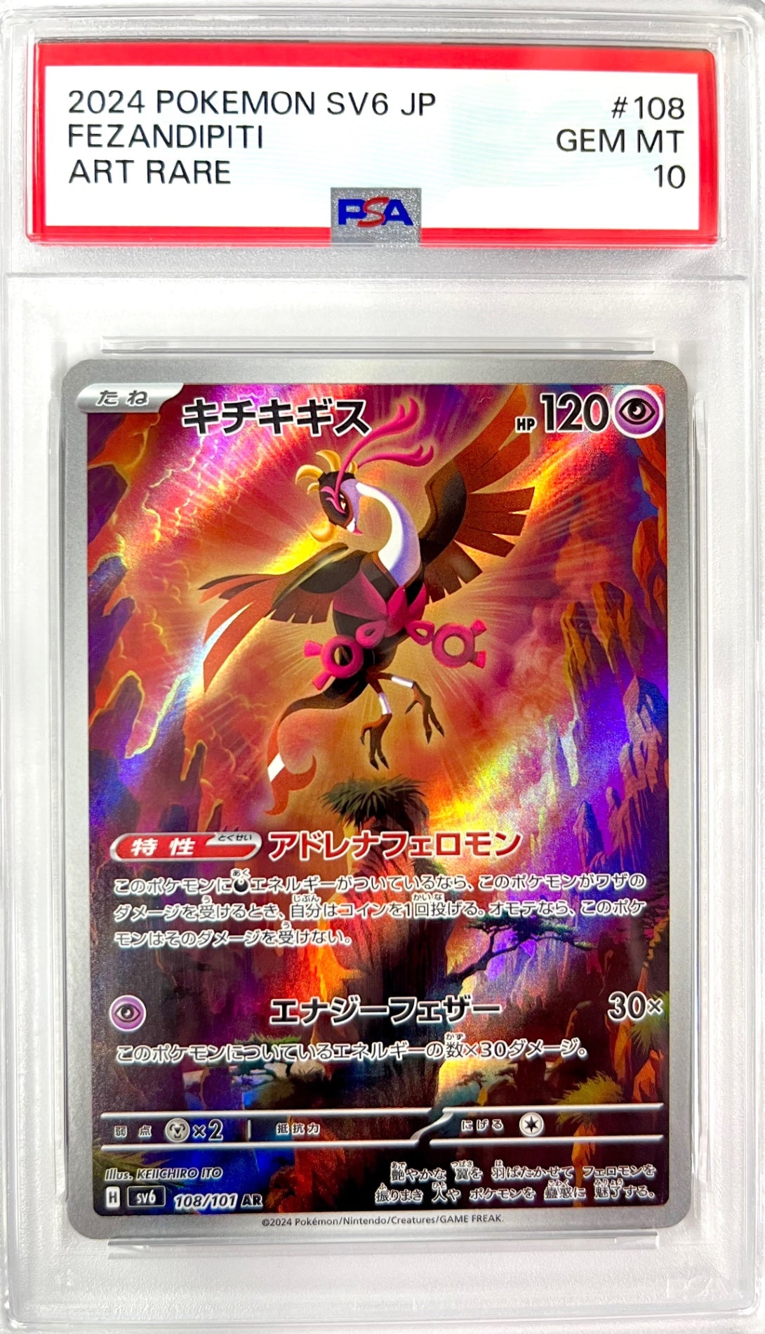 ★108/101/SV6/B キチキギス 鑑定品