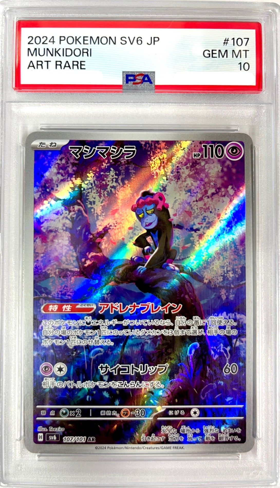 ★107/101/SV6/B マシマシラ 鑑定品