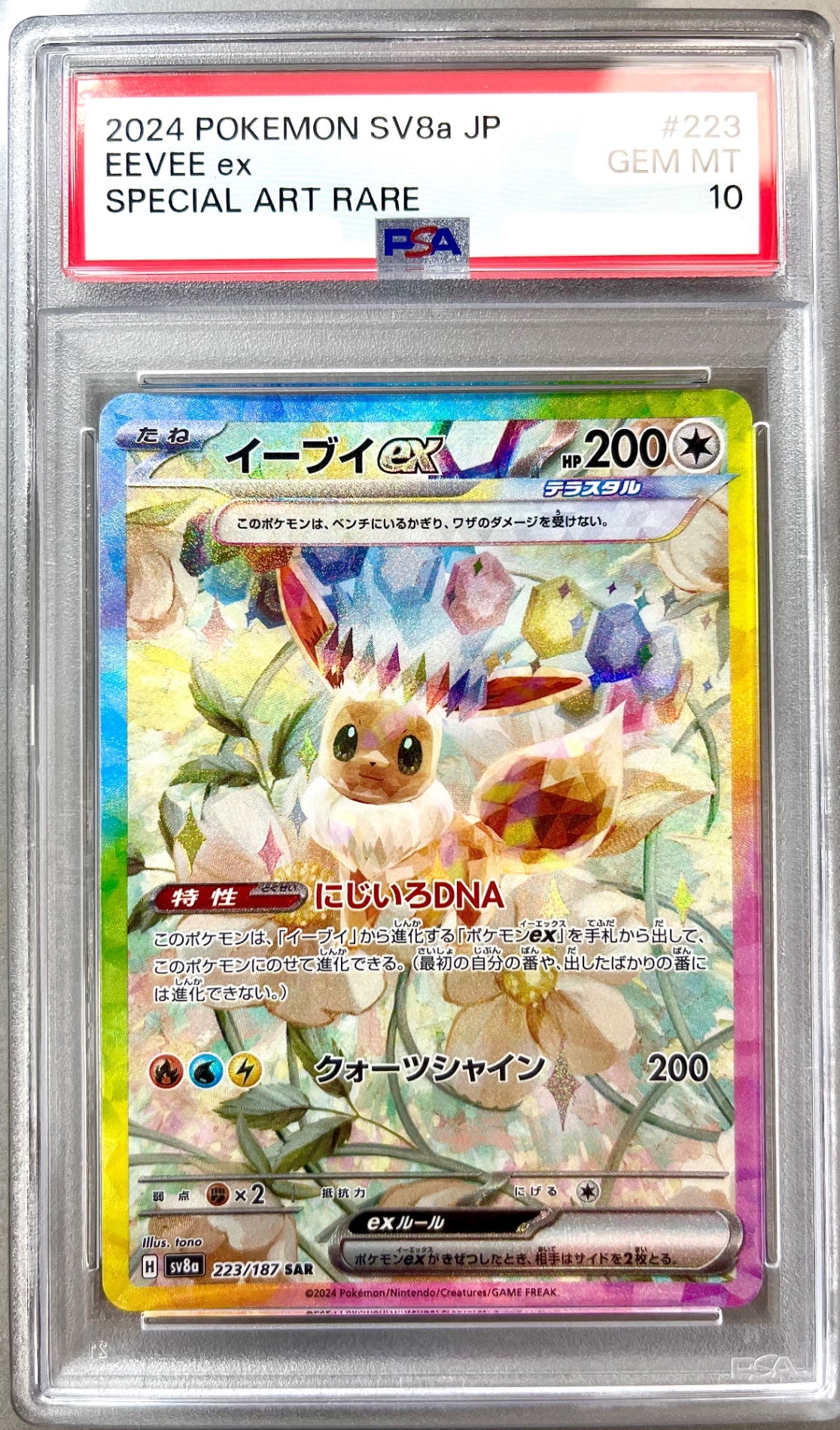 ★223/187/SV8A/B イーブイex 鑑定品