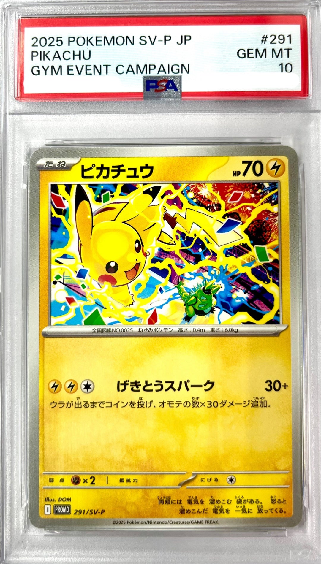 ★291/SV-P ピカチュウ 鑑定品
