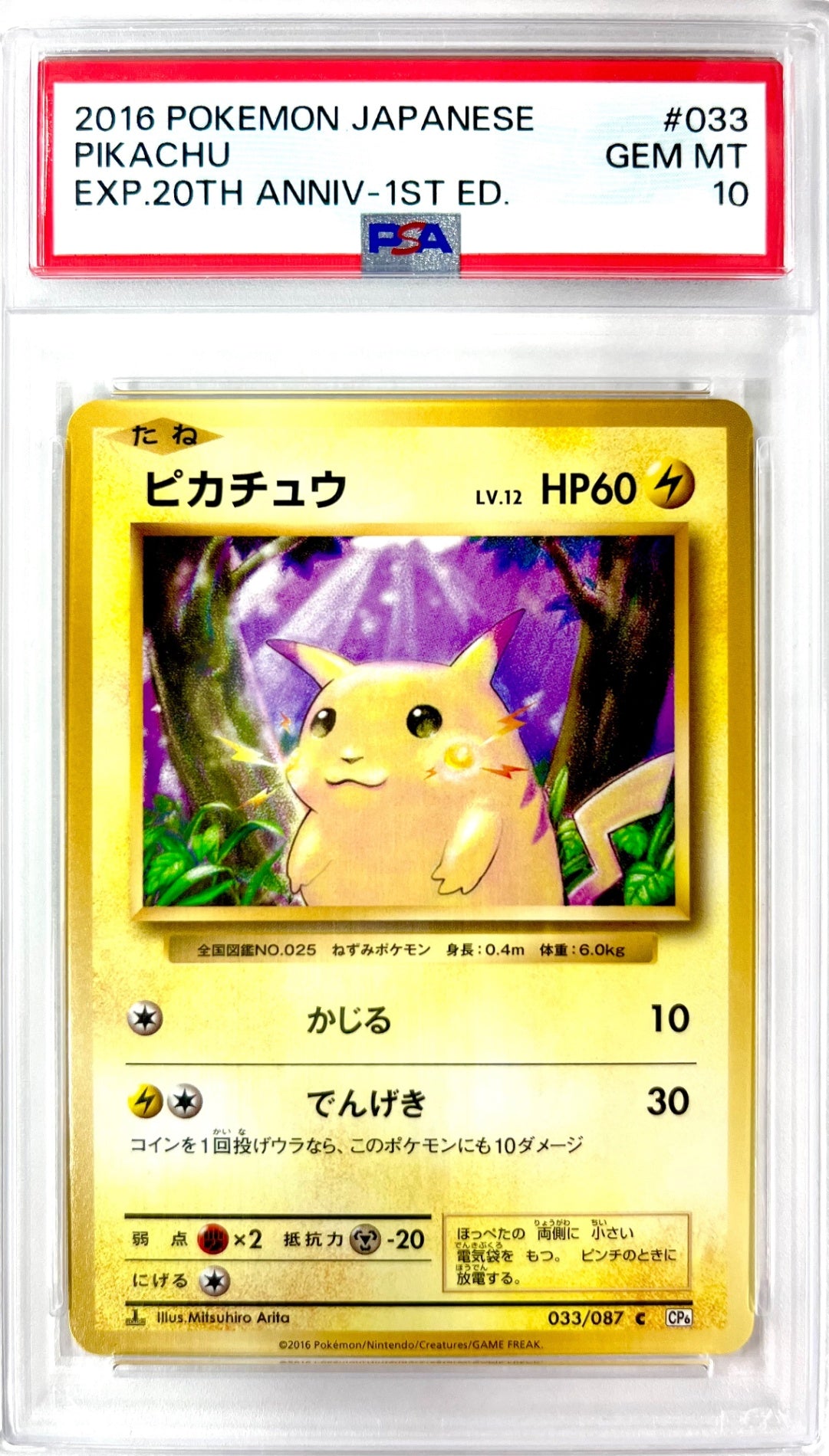 ★033/087/CP6/W/1ED 1ED)ピカチュウ 鑑定品