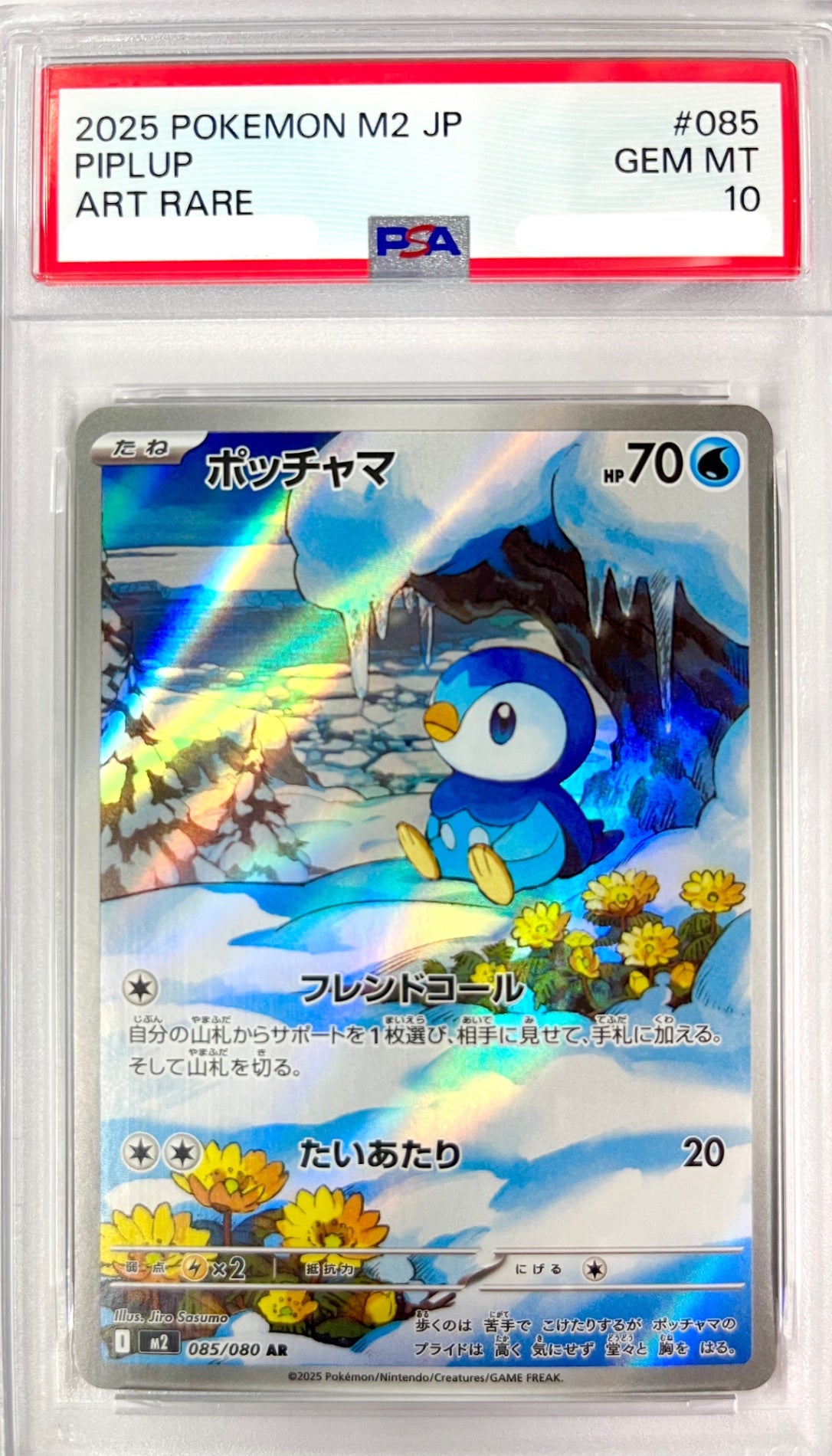 ★085/080 ポッチャマ 鑑定品