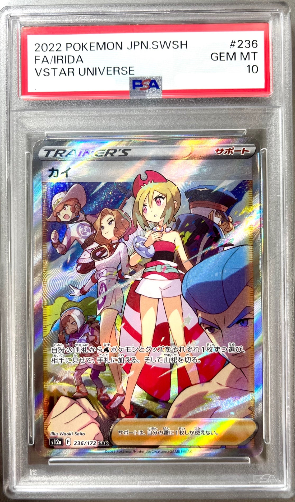 ★236/172/S12A/B カイ 鑑定品