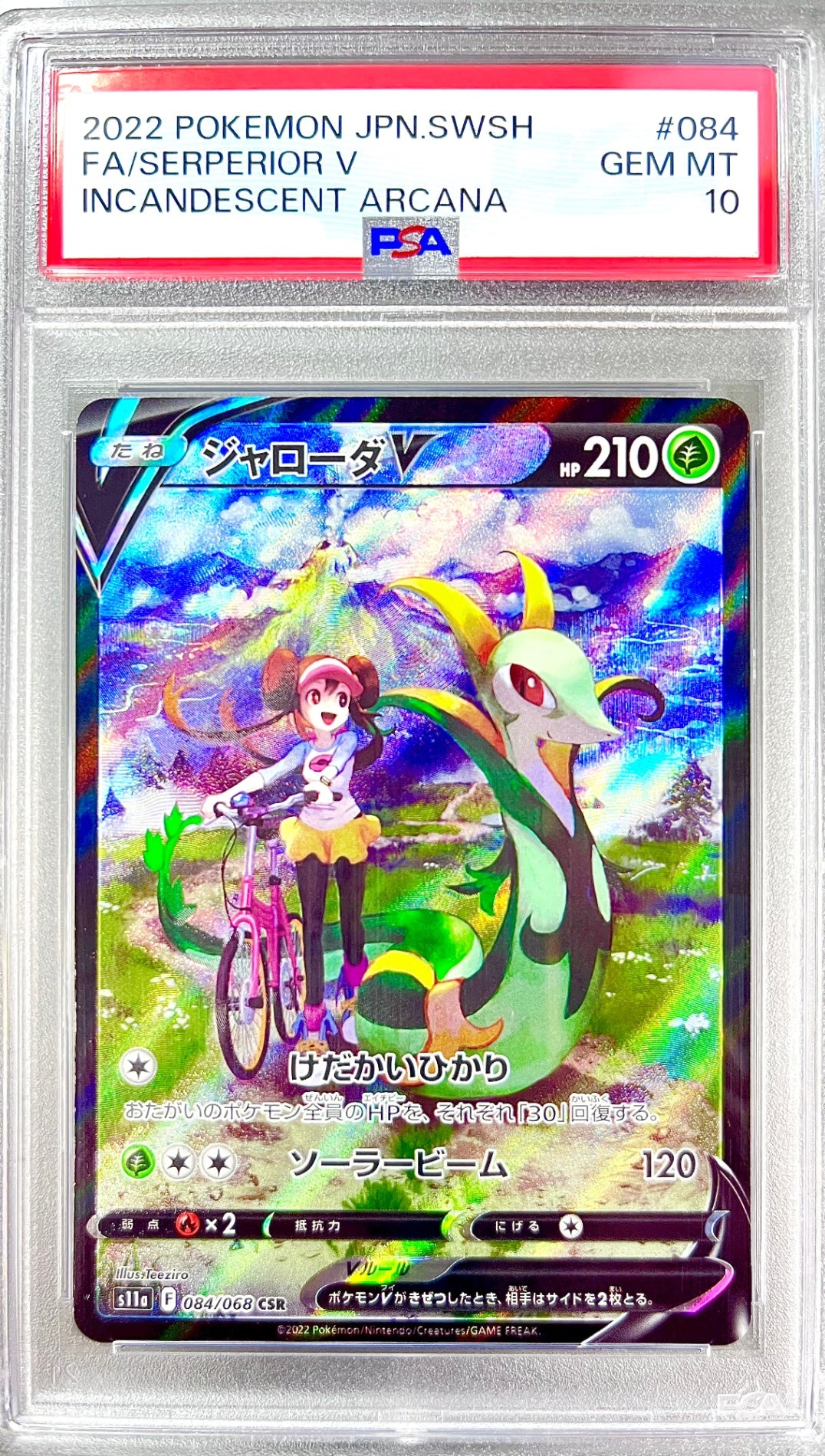 ★084/068/S11A/B ジャローダV 鑑定品