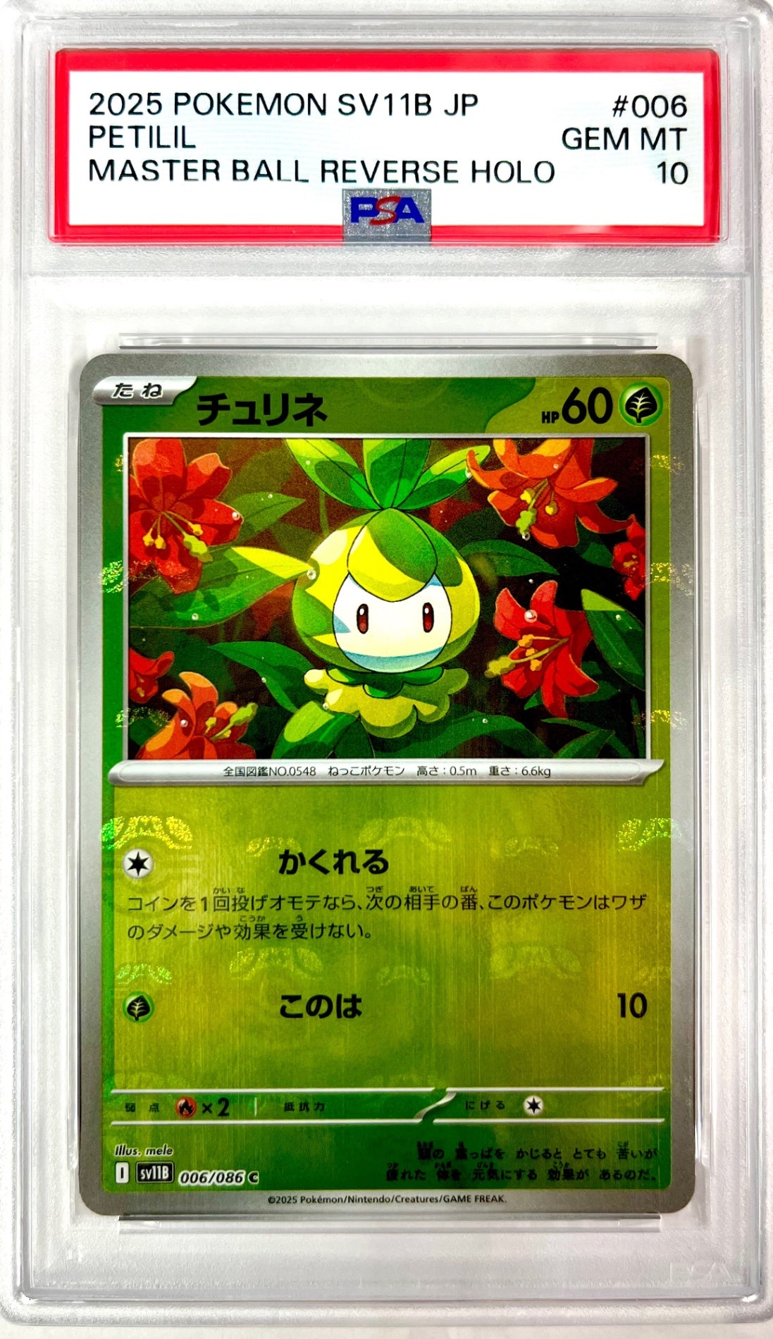 ★006/086 ミラー)チュリネ(マスターボール柄) 鑑定品