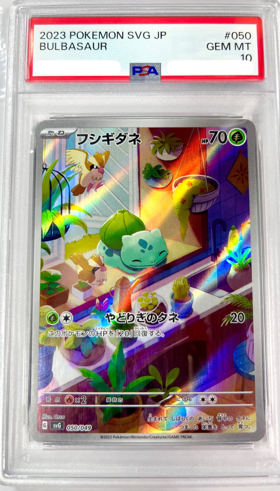 ★050/049 フシギダネ 鑑定品