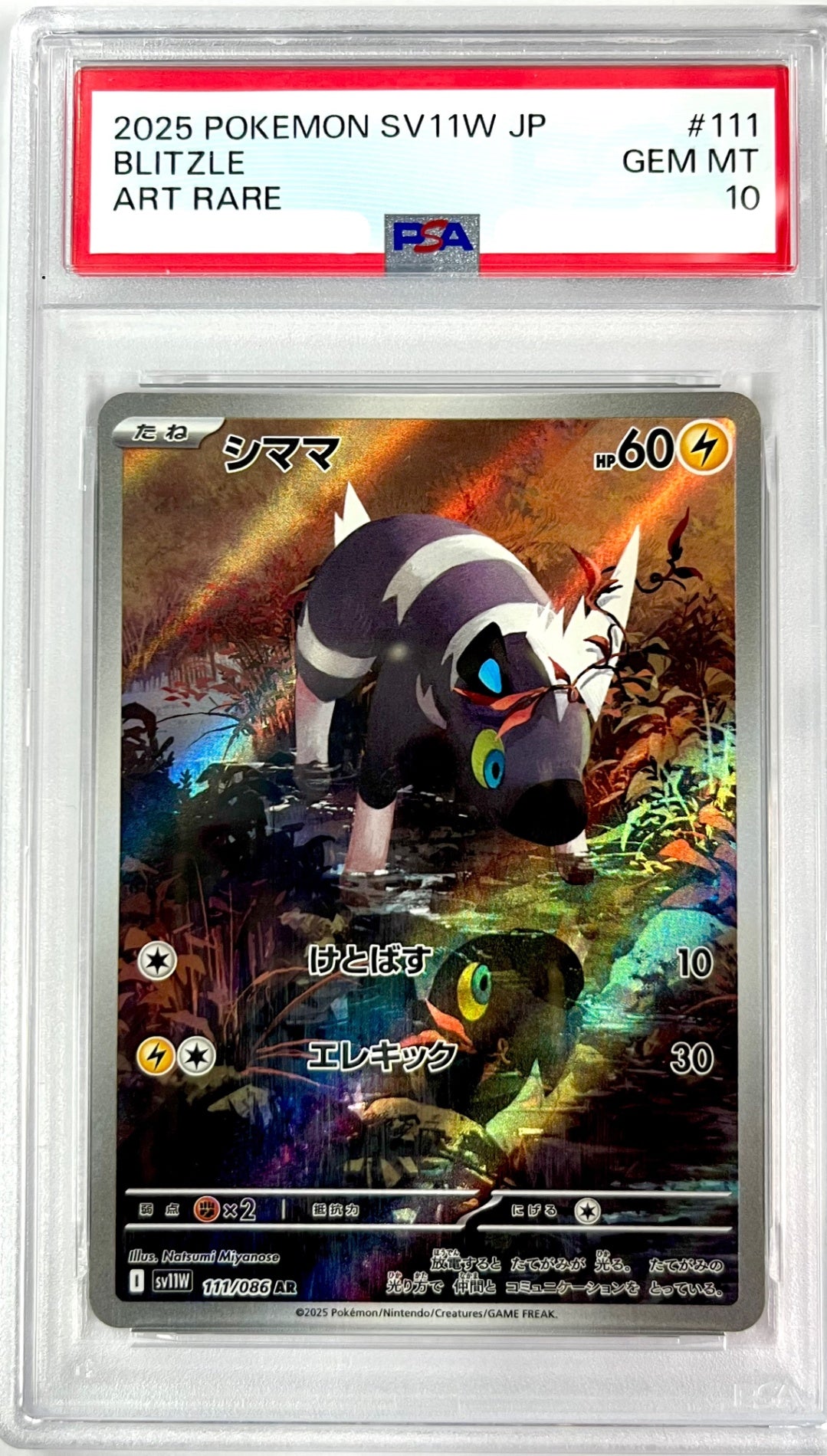 ポケモン】PSA10・鑑定品 – アソブランド
