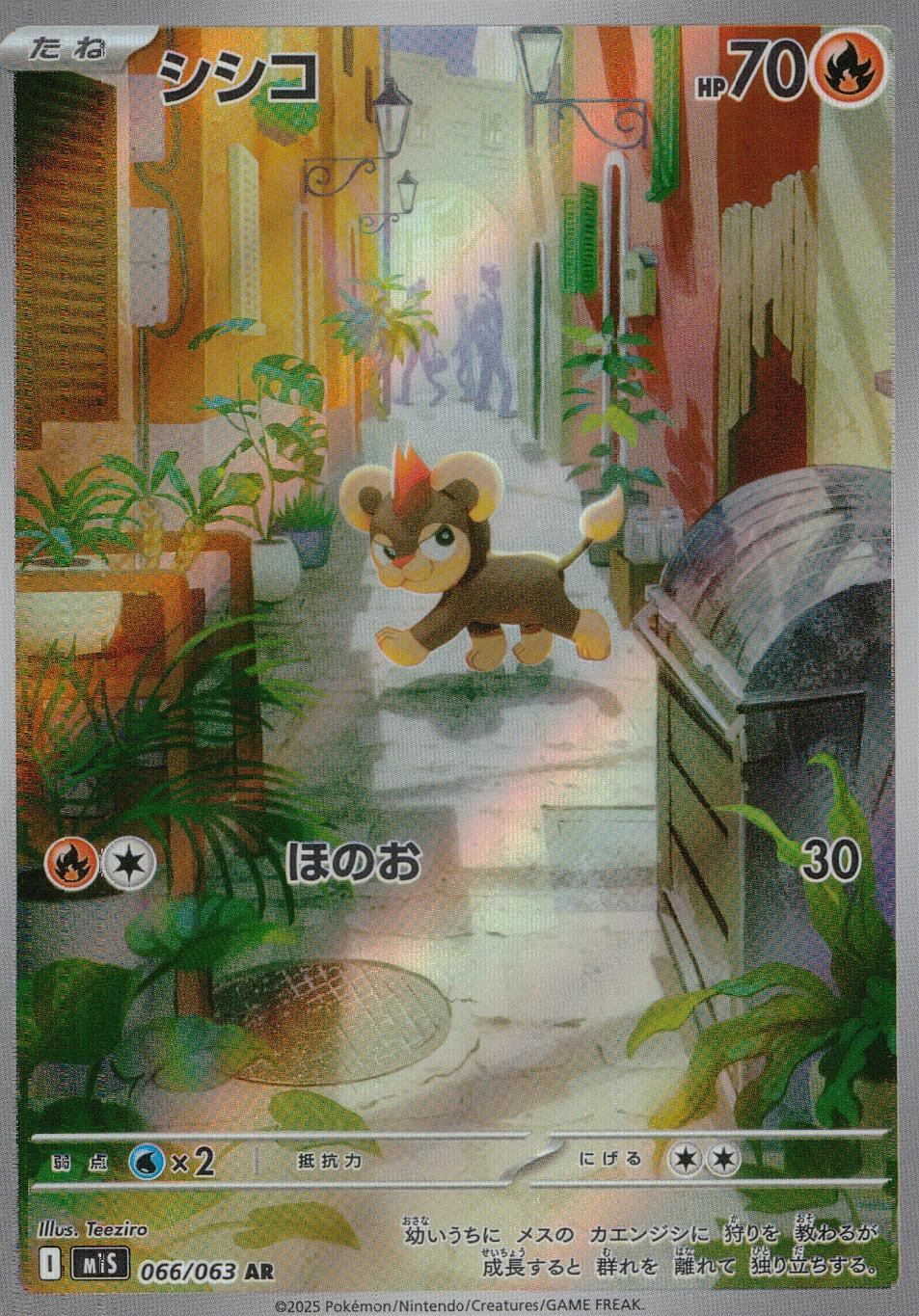 ☆066/063 Shishiko