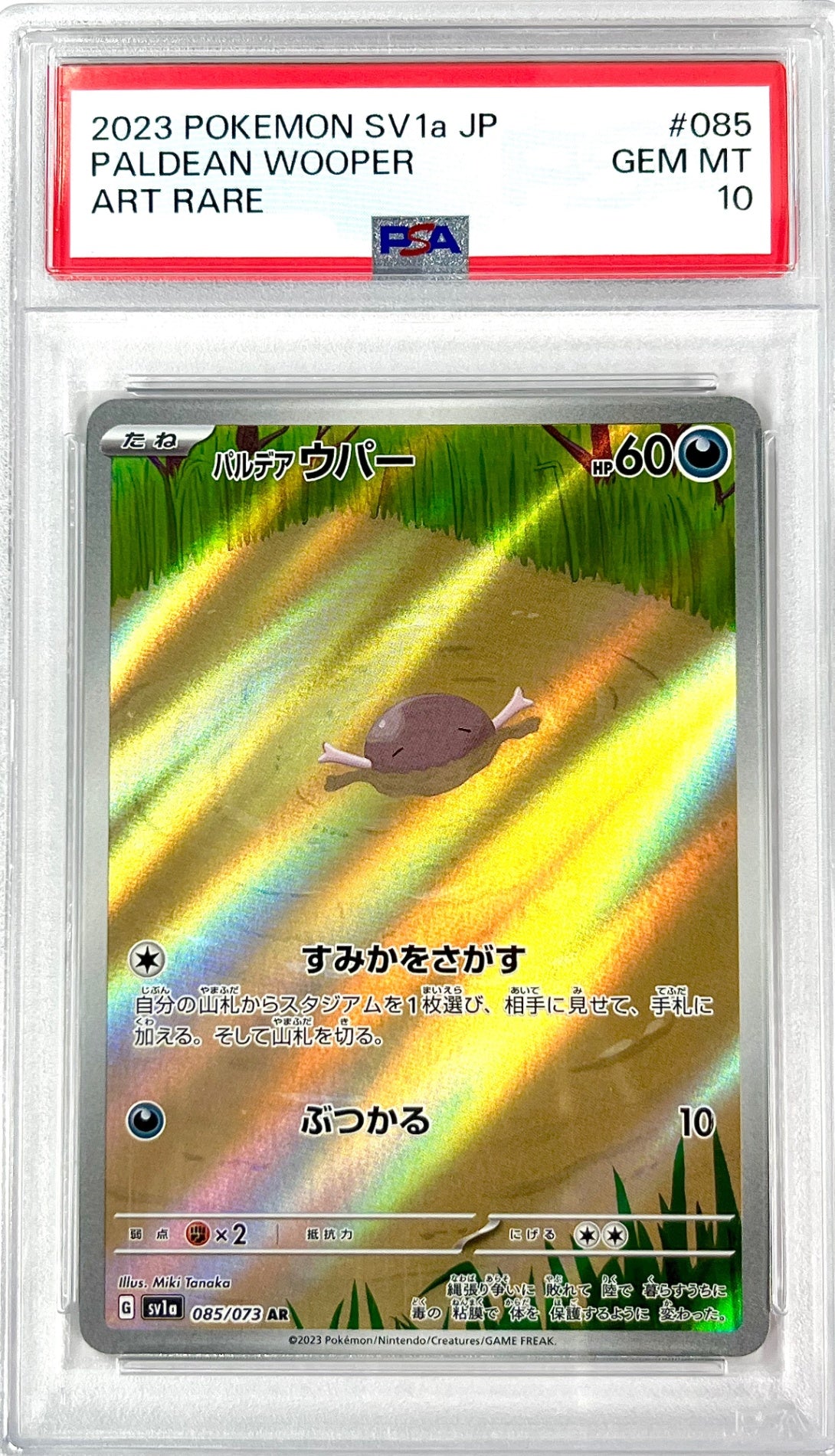 ★085/073/SV1A/B パルデアウパー　鑑定品