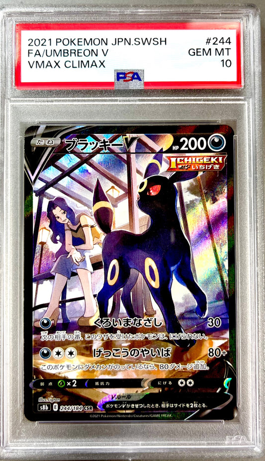★244/184/S8B/B ブラッキーV 鑑定品