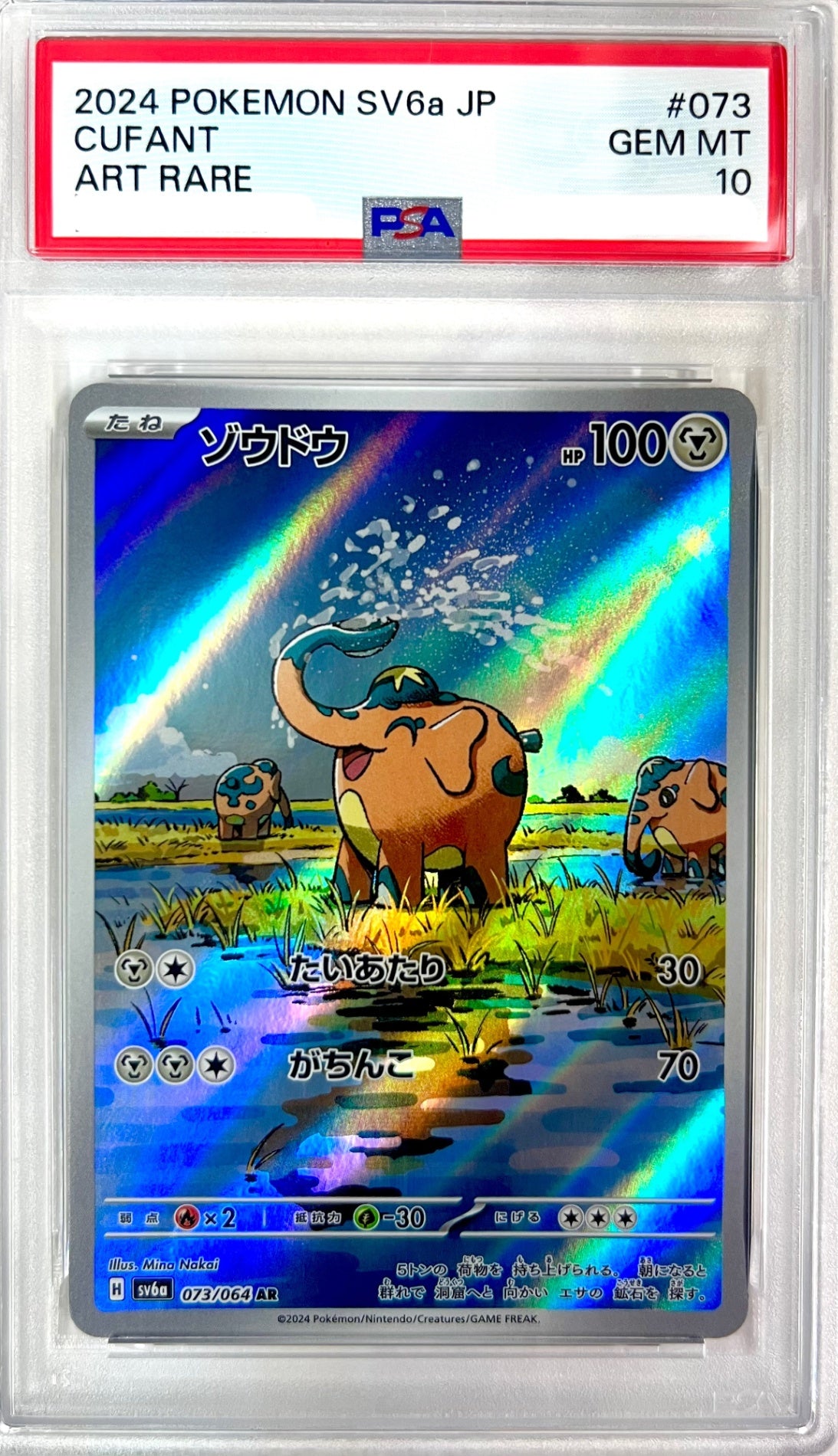 ★073/064/SV6A/B ゾウドウ　鑑定品