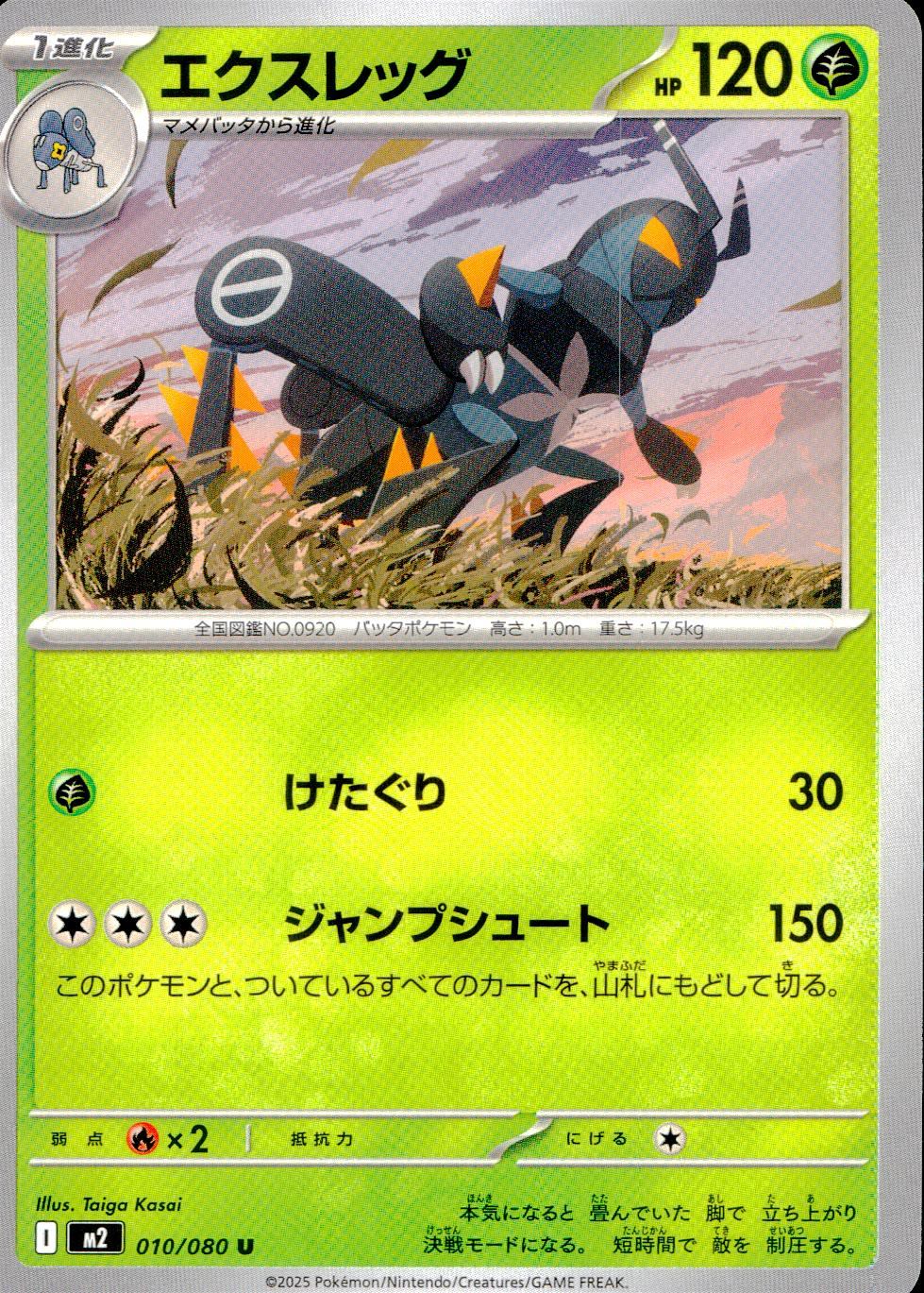 ☆010/080 Extra Leg