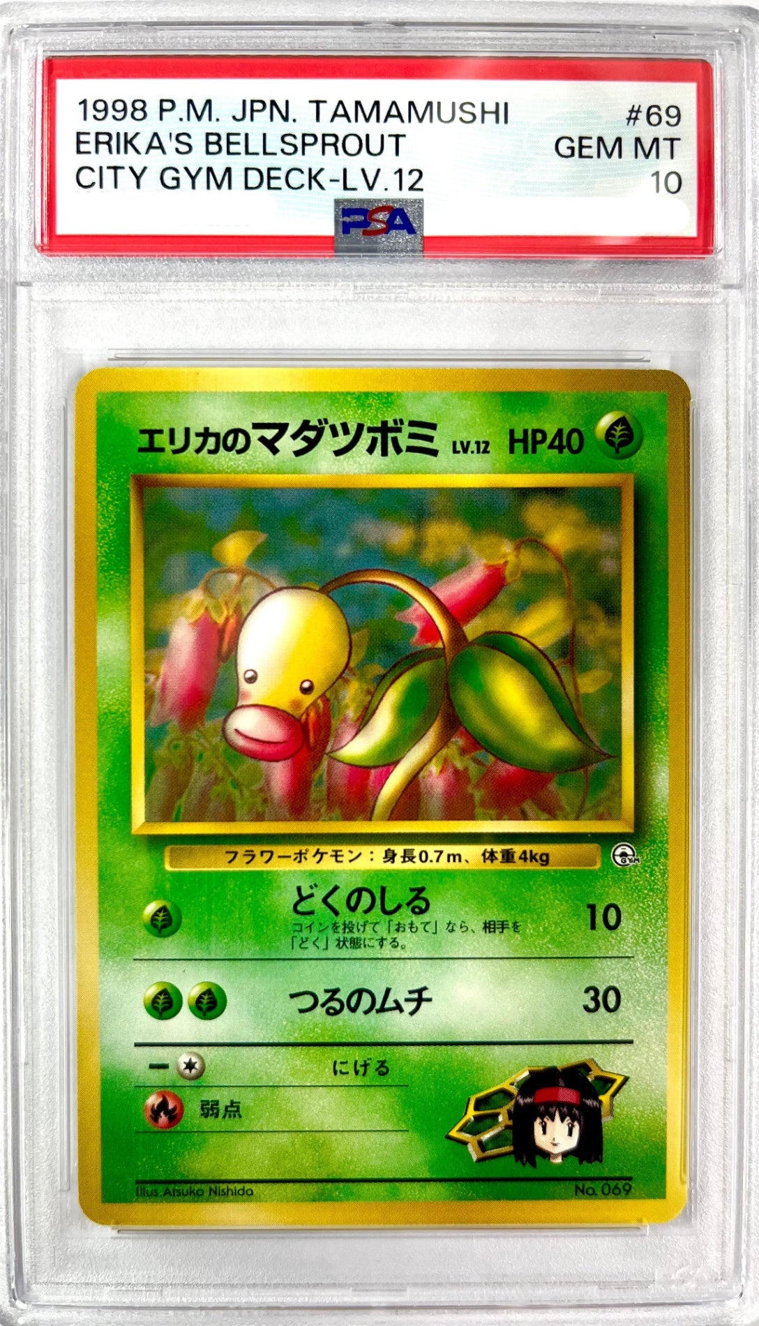 ★LV12HP40NO069-GYMTD4 エリカのマダツボミ(右中央:GYM)　鑑定品