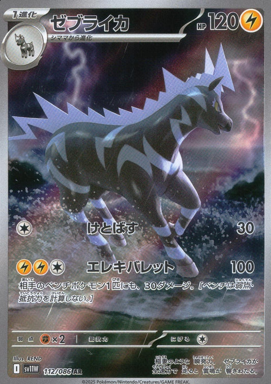 ☆112/086 Zebra Squid