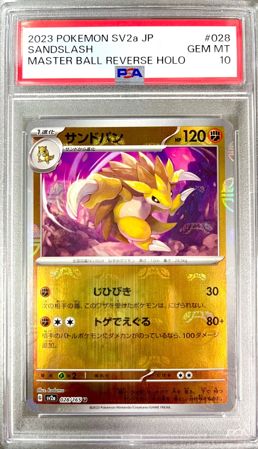 ポケモン】PSA10・鑑定品 – アソブランド