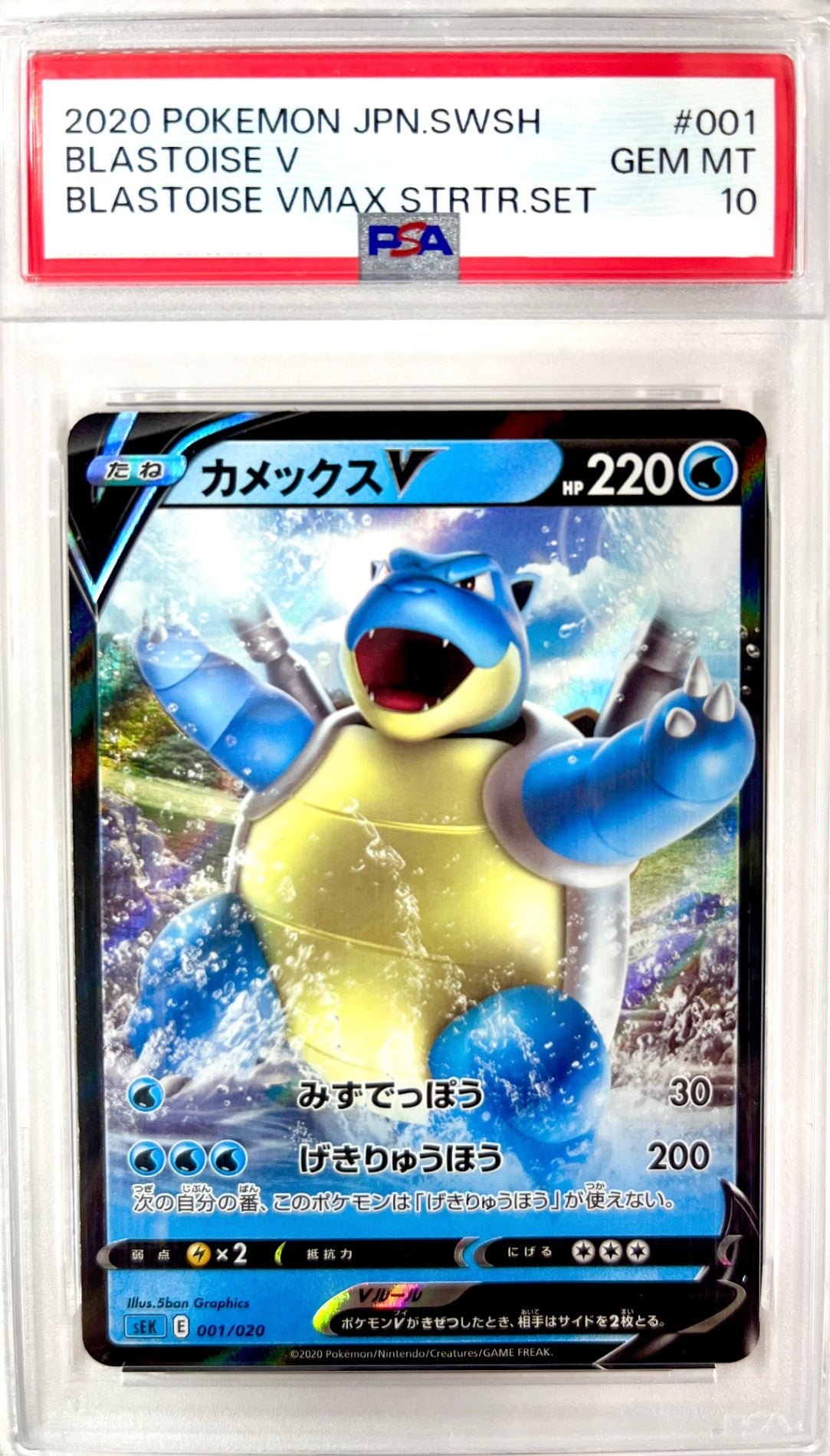★001/020/SEK/B カメックスV　鑑定品