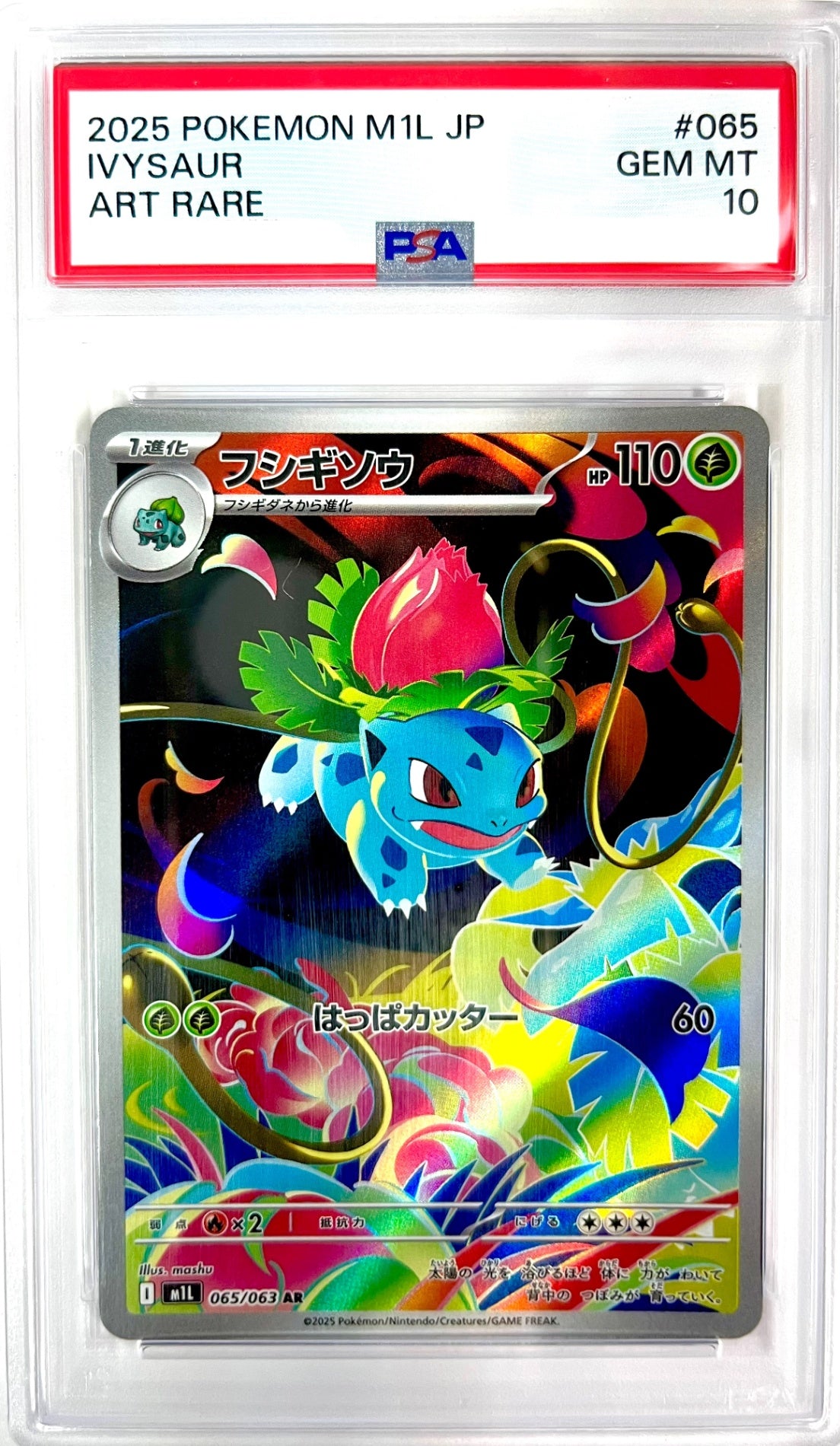 ★☆065/063 フシギソウ　鑑定品