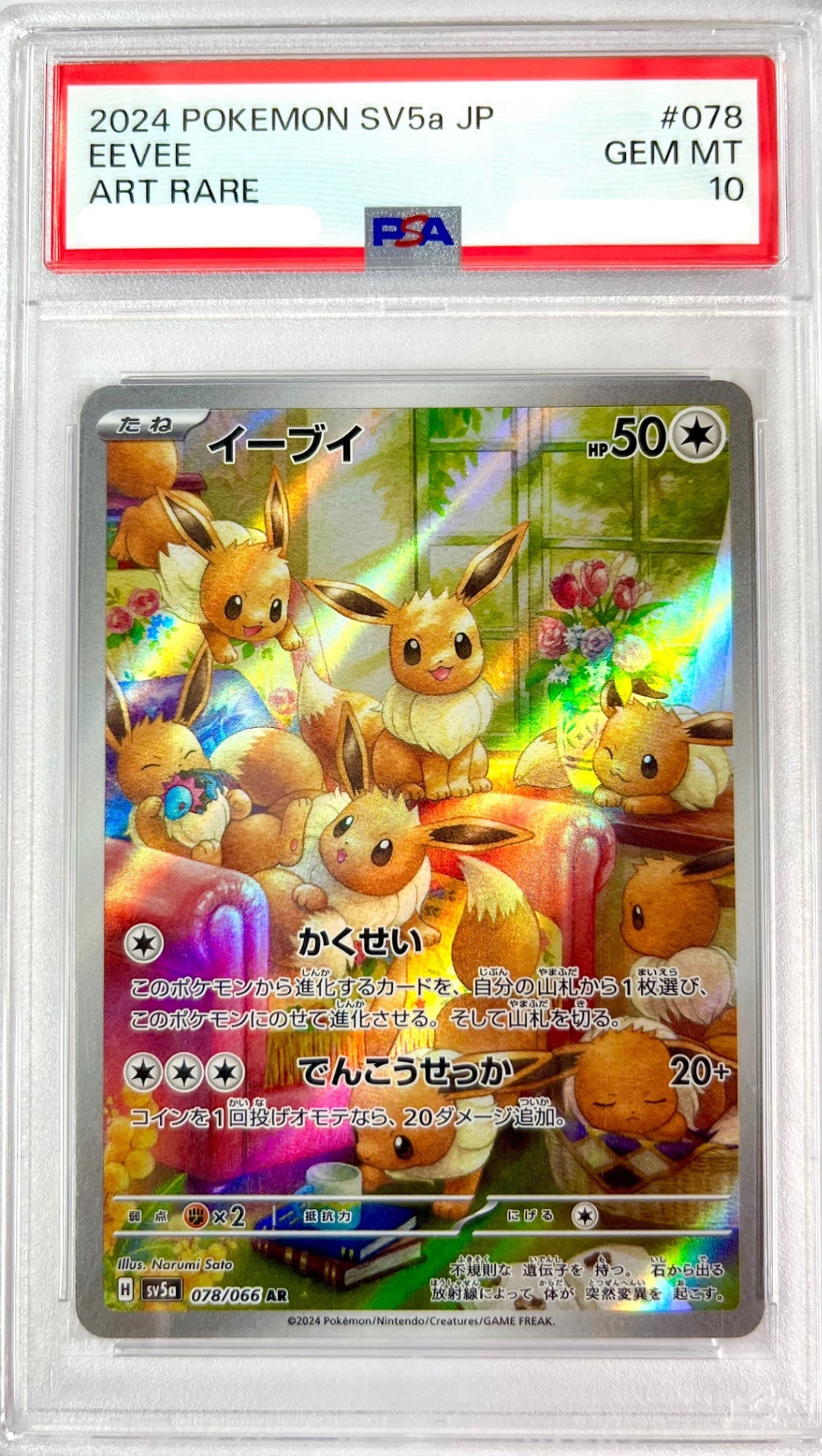 ★078/066/SV5A/B イーブイ 鑑定品