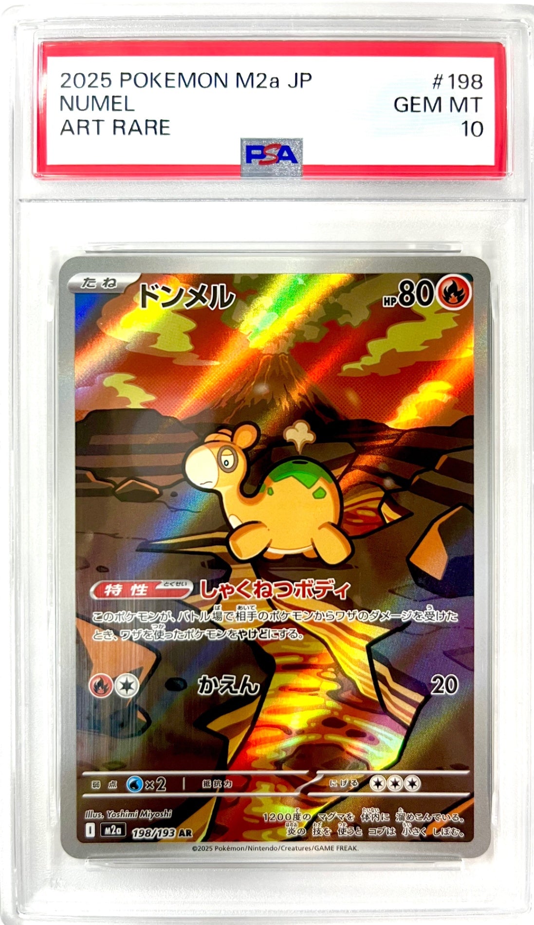 ★198/193 ドンメル　鑑定品