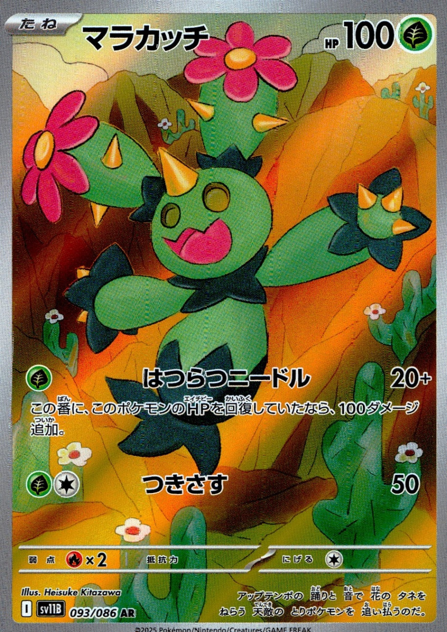 ☆093/086 Malacacci