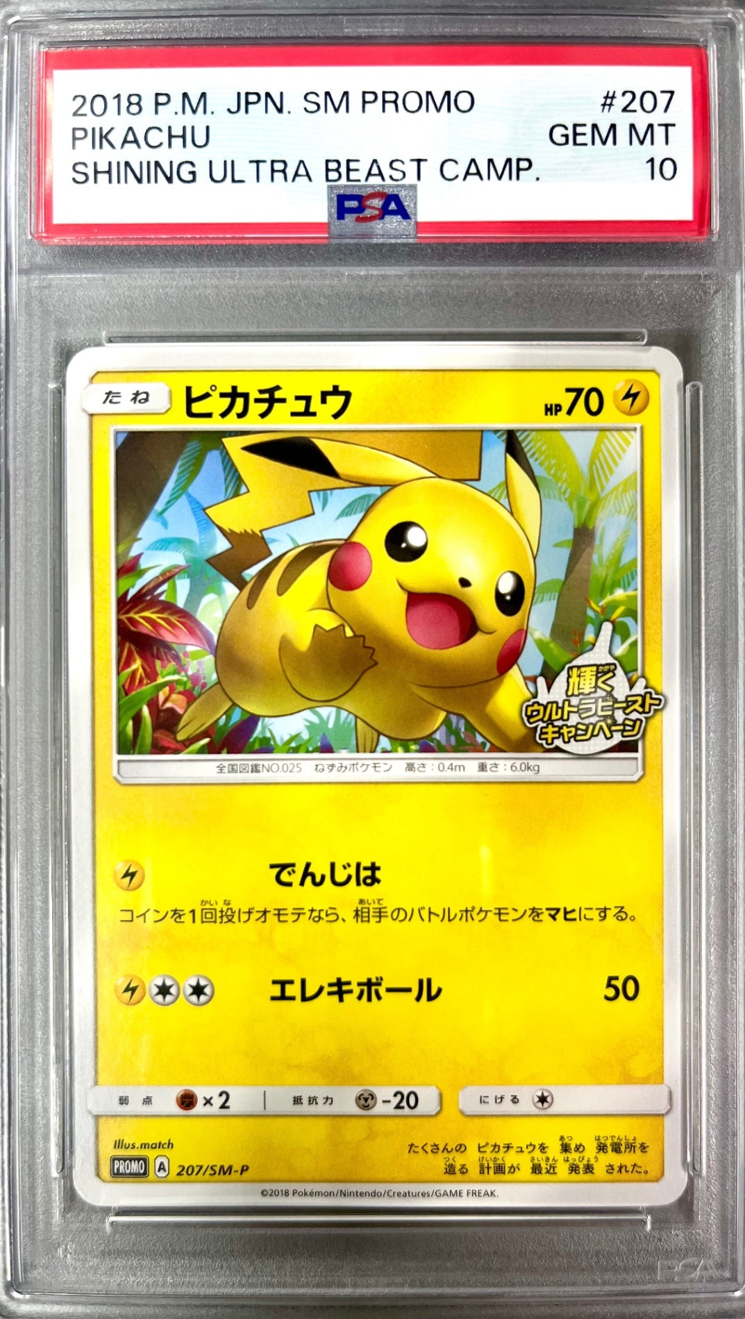 ★207/SM/P ピカチュウ　鑑定品