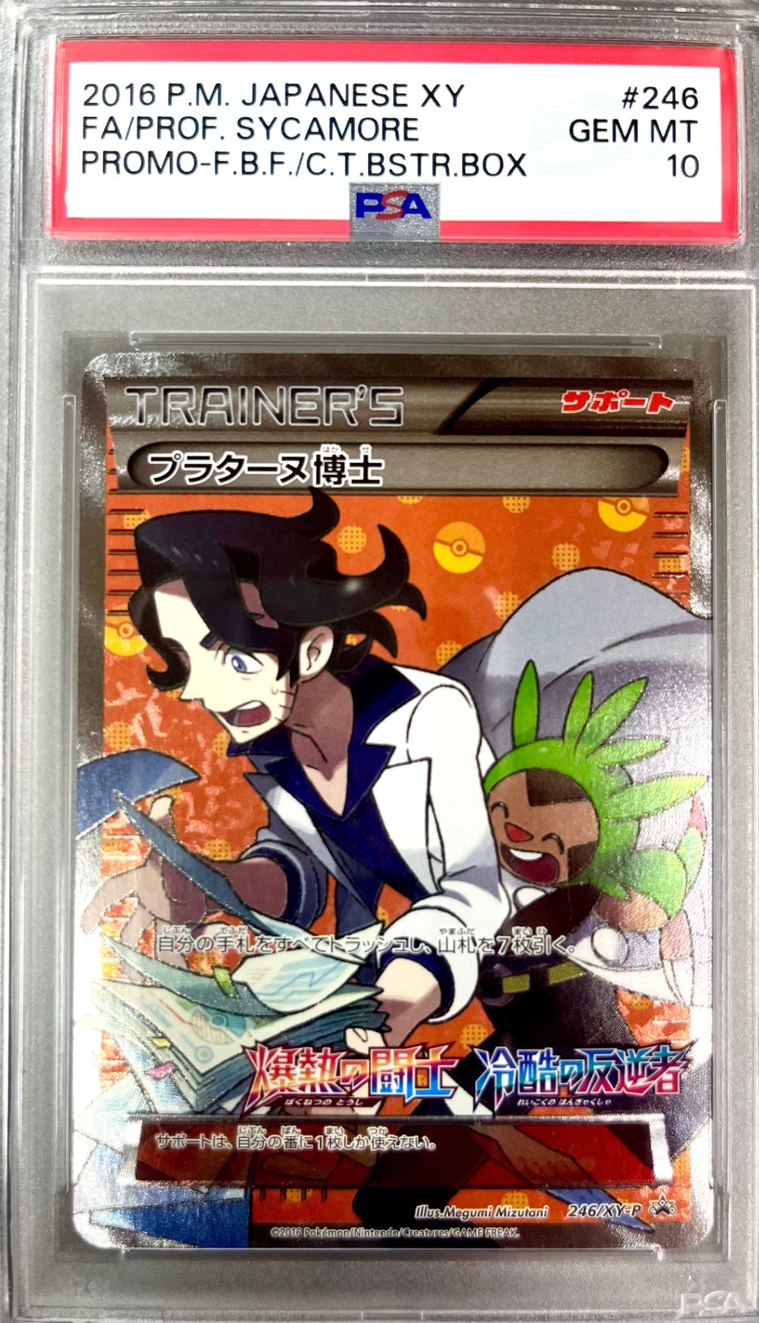 ★246/XY-P プラターヌ博士　鑑定品