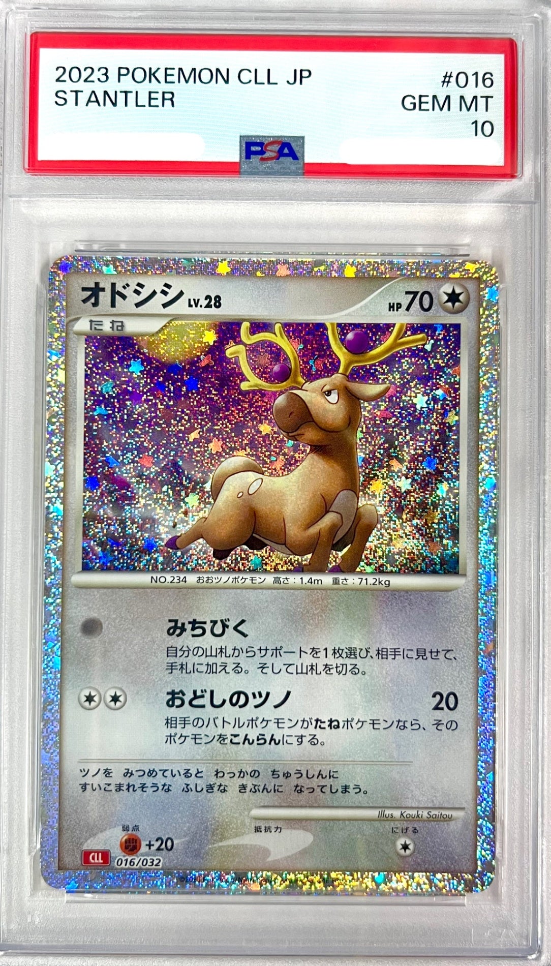 ★016/032/CLL　オドシン　鑑定品