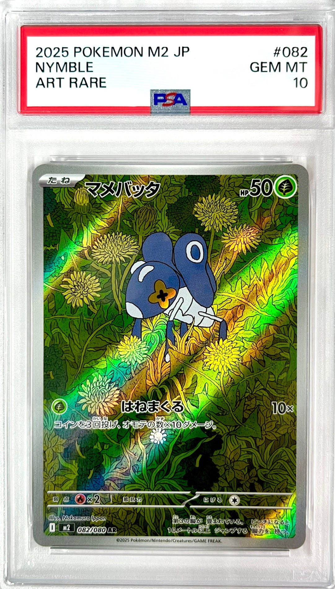 ★☆082/080 マメバッタ 鑑定品