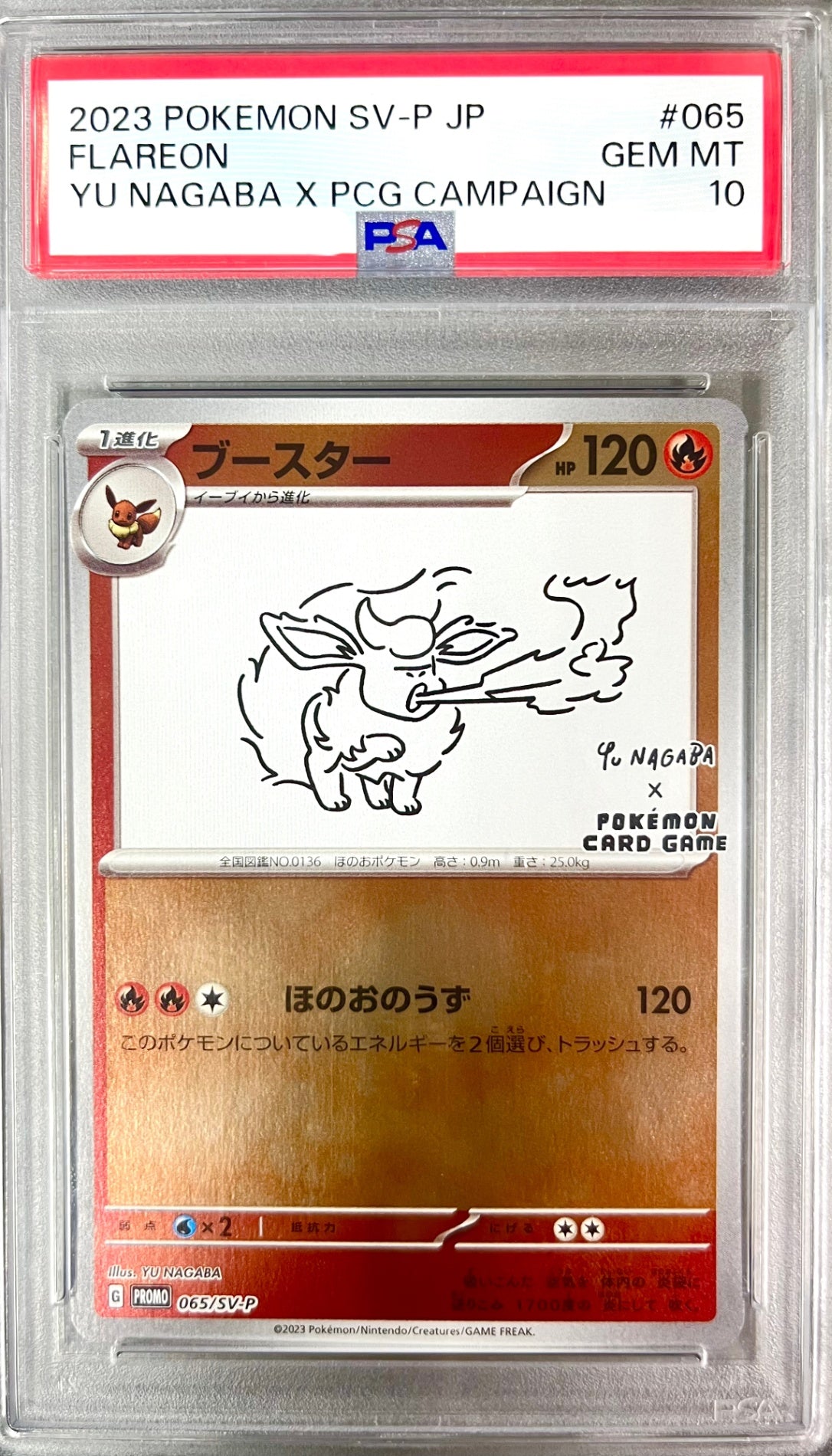 PSA10 – Page 11 – アソブランド
