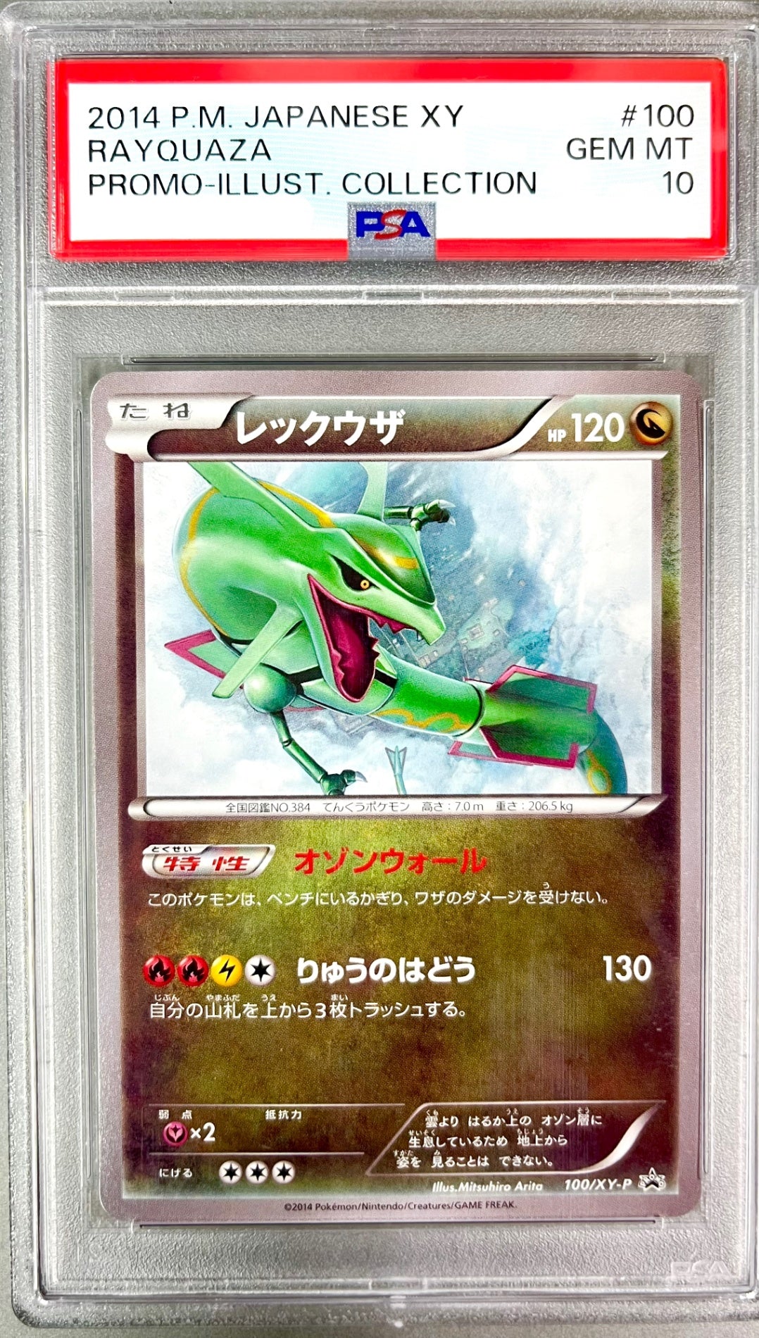 ★100/XY-P Rayquaza Appraised Item