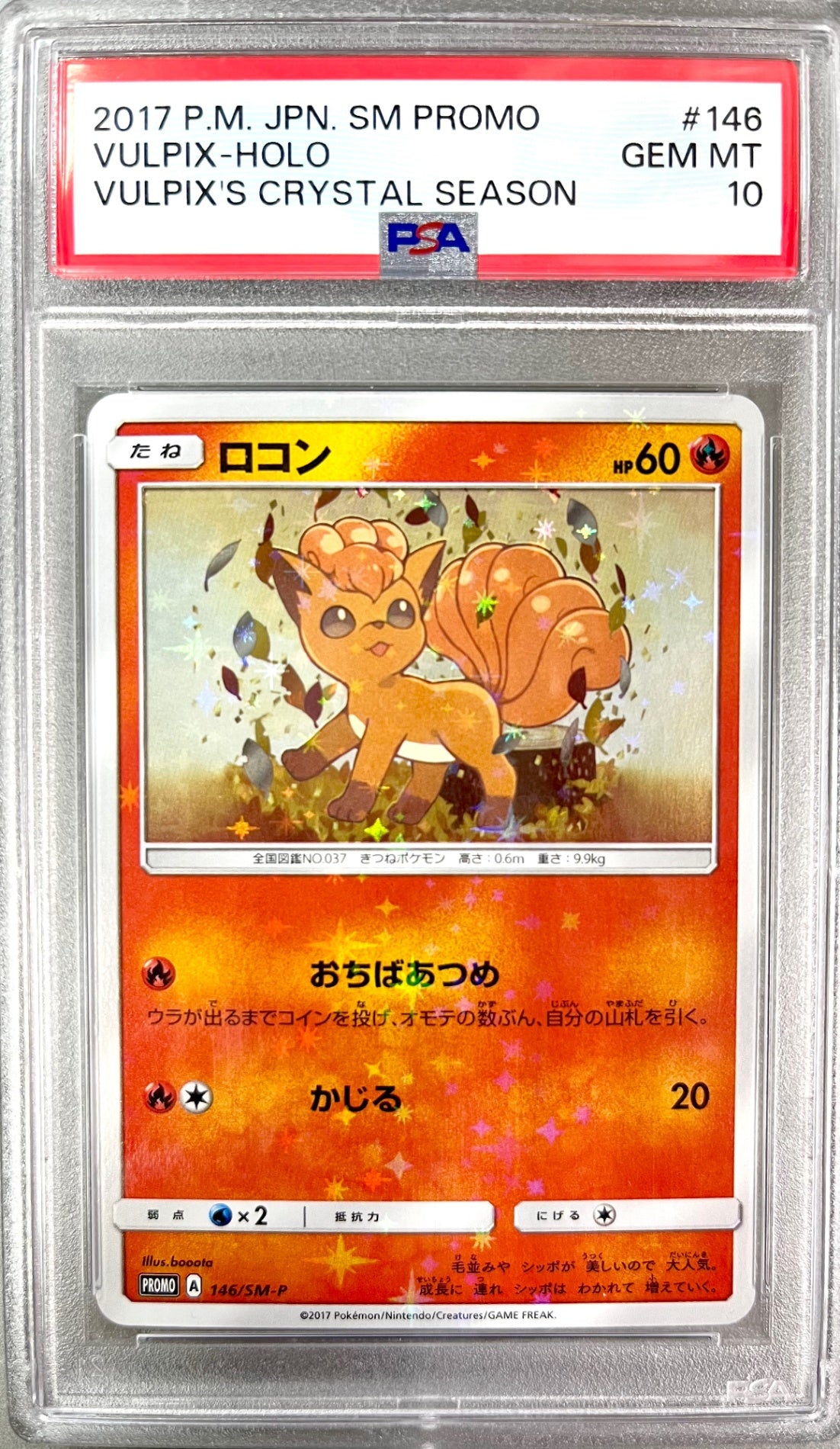 ★146/SM/P ロコン　鑑定品