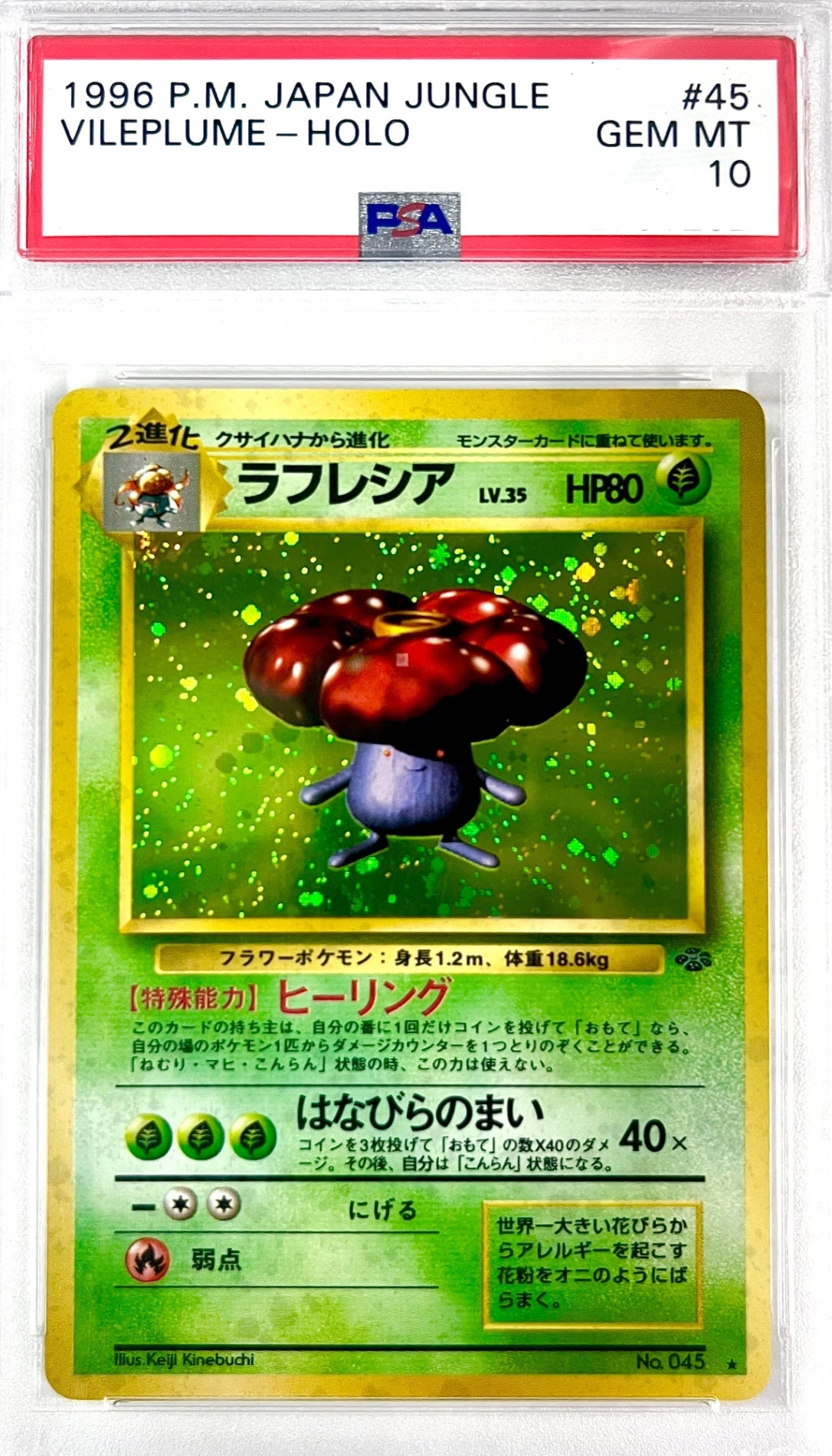 ★LV35HP80NO045-ORG2 ラフレシア(右中央:ラフレシア)　鑑定品