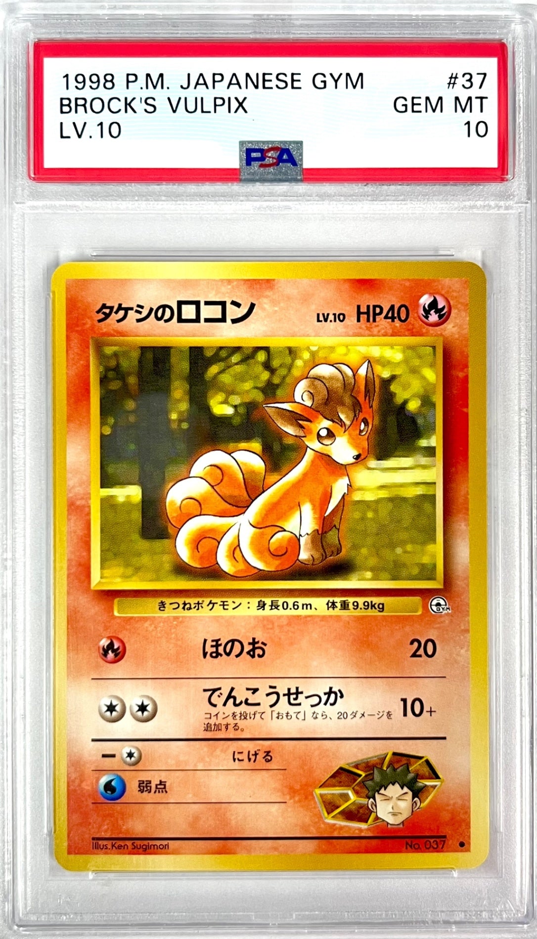 【レア】★LV10HP40NO037-GYMTD1 タケシのロコン(右中央:GYM)　鑑定品