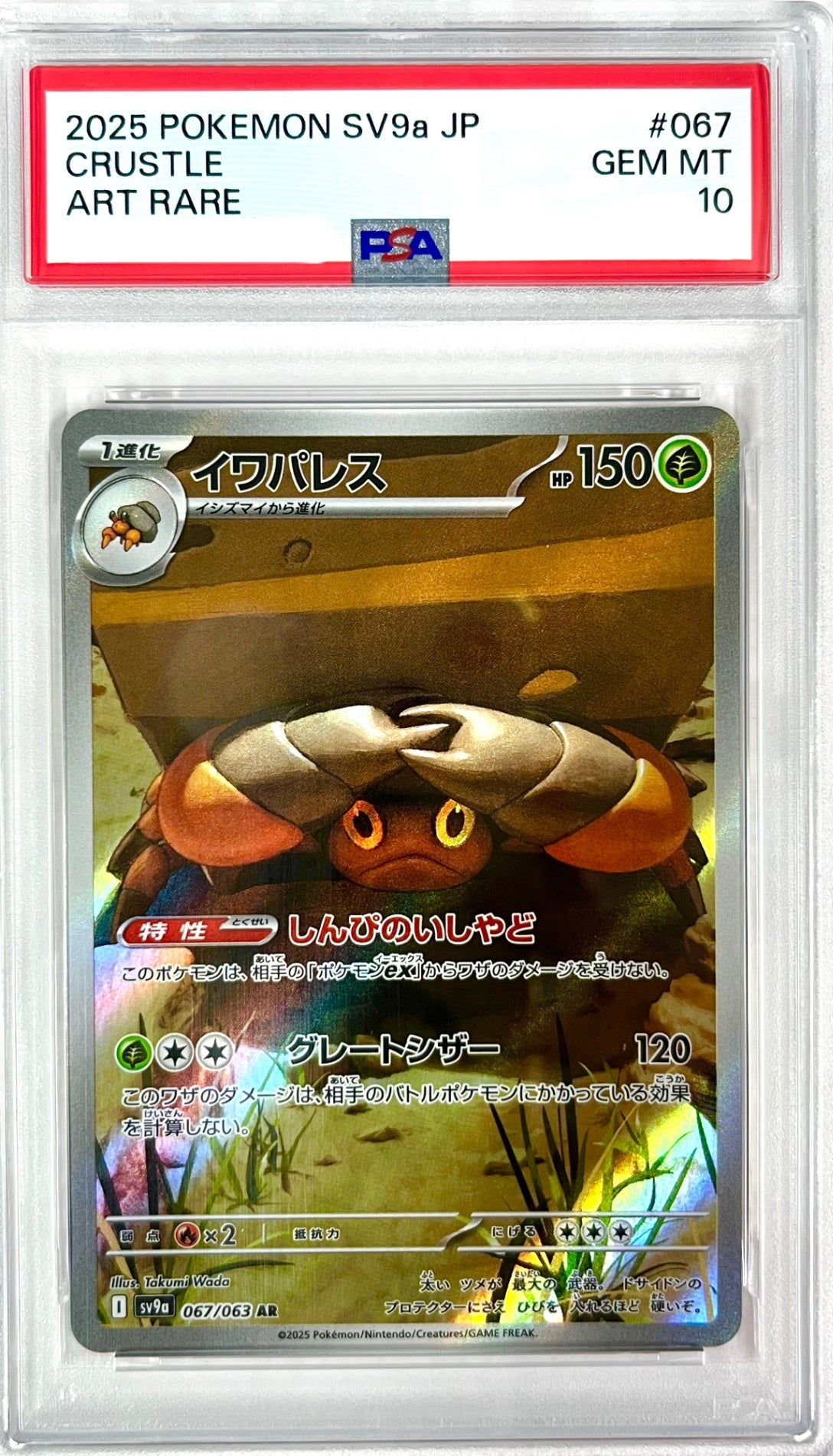 ★067/063/SV9A/B イワパレス 　鑑定品