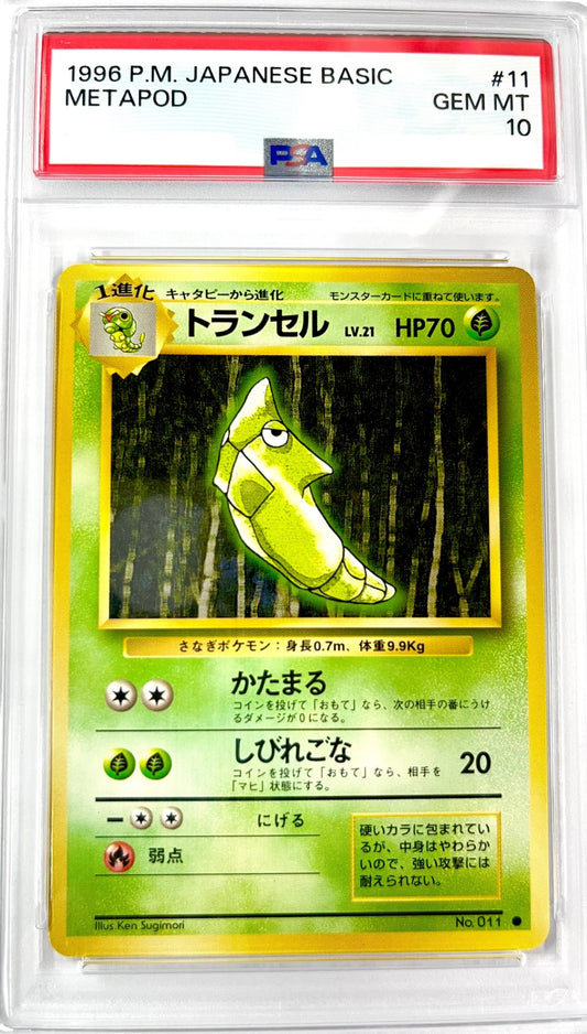 トランセル LV.21 旧裏 No.011 PSA10 鑑定品 表面